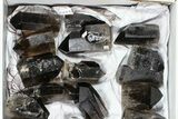 Lot: Lbs Cut base Smoky Quartz Crystals (-) - Brazil #77824-1
